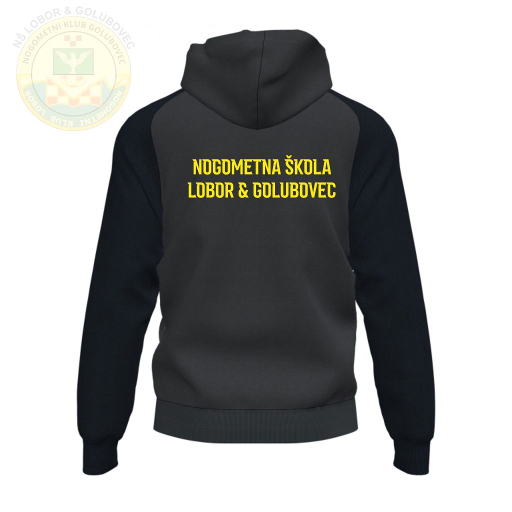 Gornji dio trenirke leđa Academy 4 NS L&G