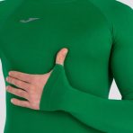 brama podmajica slika 2