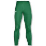 lycra duge podgaće green