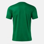 Pichaso dres zeleno crna leđa