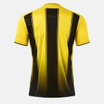 Tiger 8 dres žuto crna leđa
